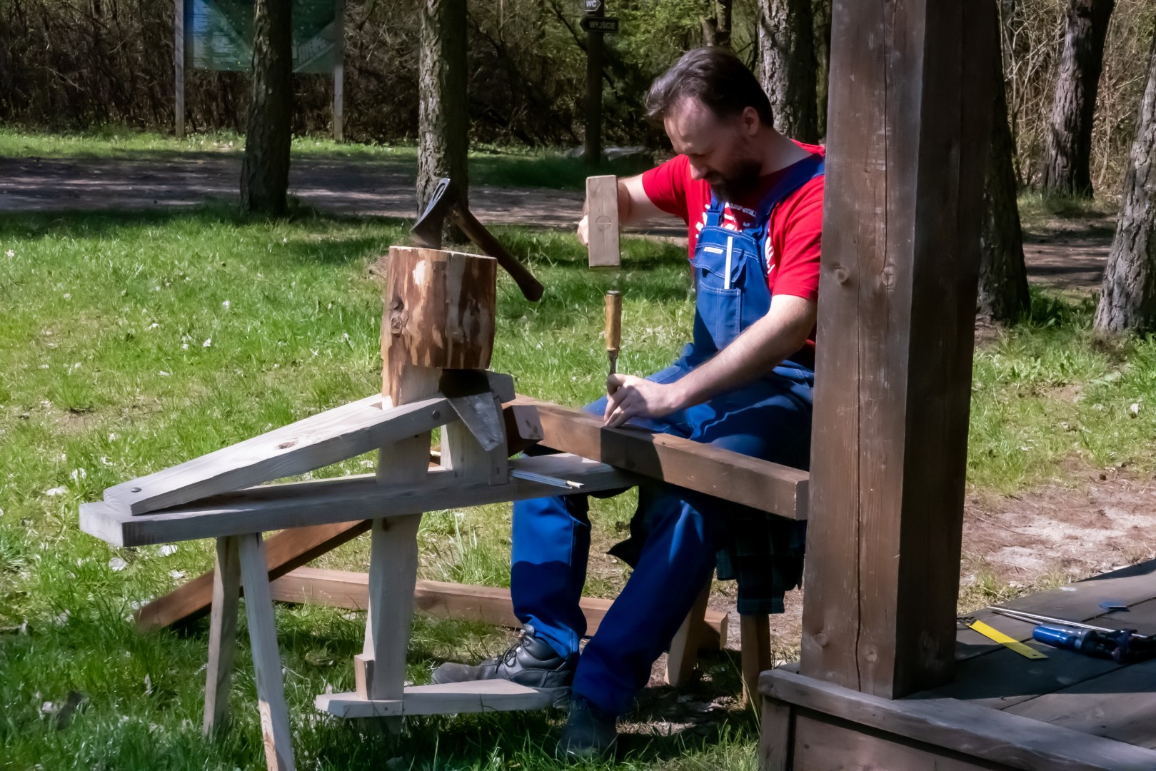 PLX 5014fot. Mariusz Łężniak Duże