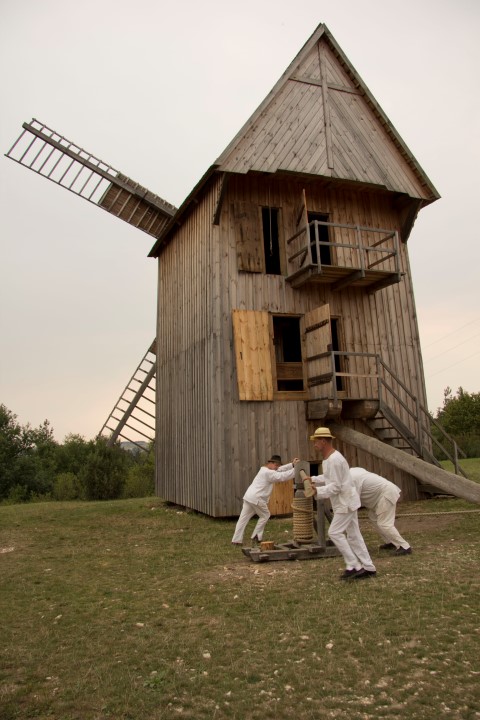 MILL FROM DĘBNO - WORKING MILLERS