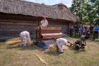 Święto Chleba fot. Mariusz Łężniak (116) (Duże)