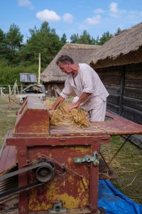 Święto Chleba fot. Mariusz Łężniak (123) (Duże)