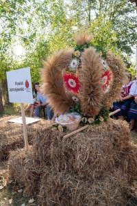 Dożynki 2024  fot. Mariusz Łężniak (15) (Duże)