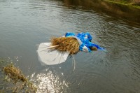 MWK-  fot. Mariusz Łężniak 039