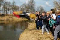 MWK-  fot. Mariusz Łężniak 043